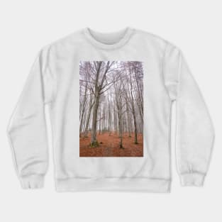 Winter landscape with frost on trees Crewneck Sweatshirt